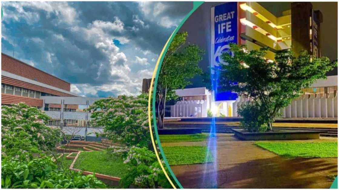 OAU/Zoological Garden/OAU Zoo/Details of OAU staff killed by lion OAU/Zoological Garden/OAU Zoo/Details of OAU staff killed by lion