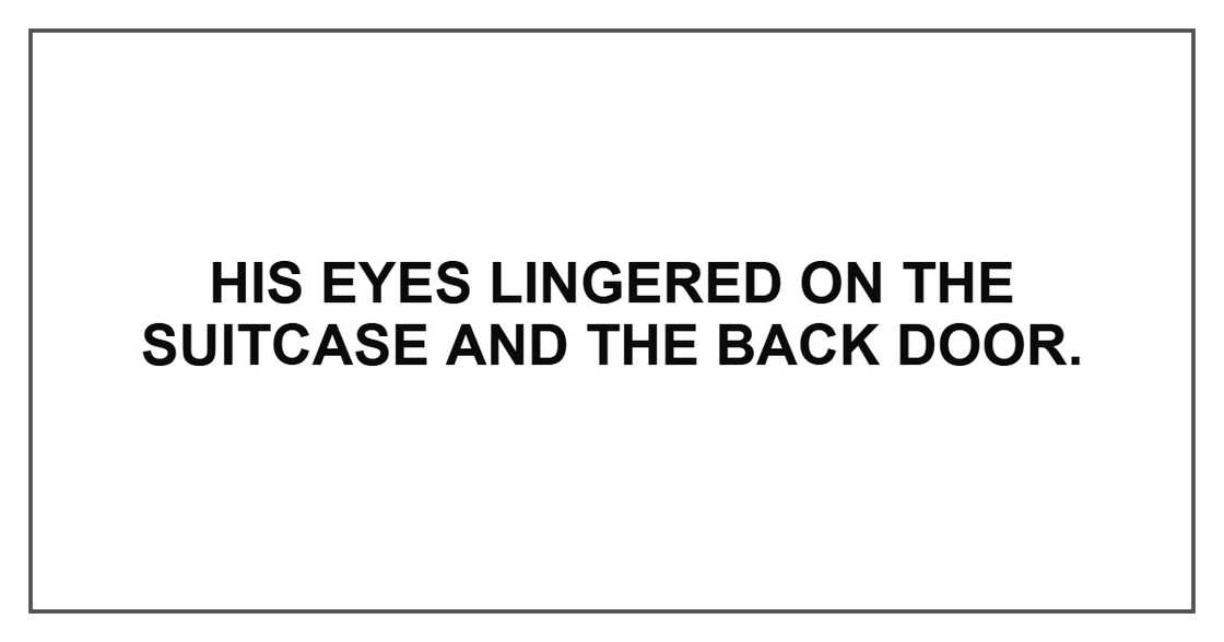 His eyes lingered on the suitcase and the back door. His eyes lingered on the suitcase and the back door.