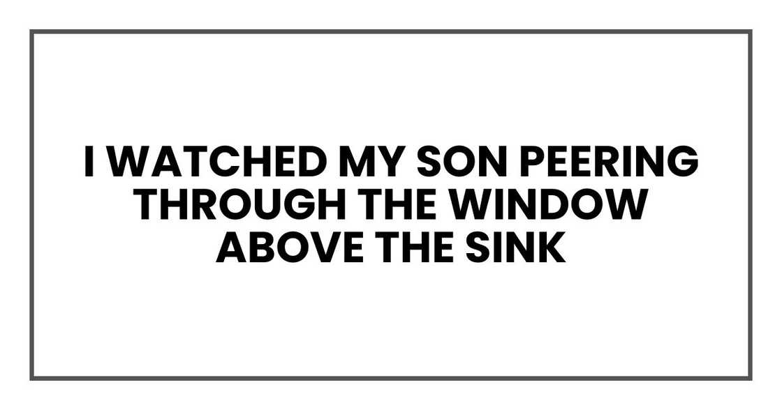 I watched my son peering through the window above the sink