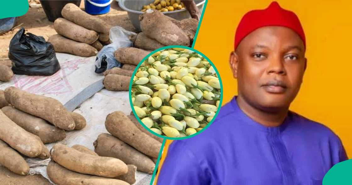 Ciyamoman a karamar hukumar ya nada hadiminsa a bangaren doya da barkono Ciyamoman a karamar hukumar ya nada hadiminsa a bangaren doya da barkono