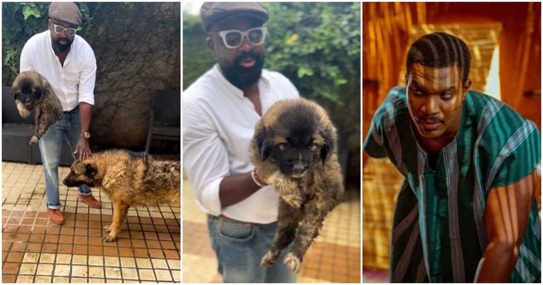 Kunle Remi, Kunle Afolayan, Saro, Puppy Kunle Remi, Kunle Afolayan, Saro, Puppy