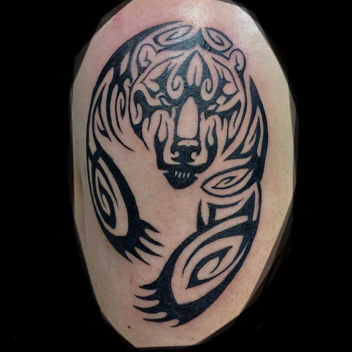 tribal bear tattoo