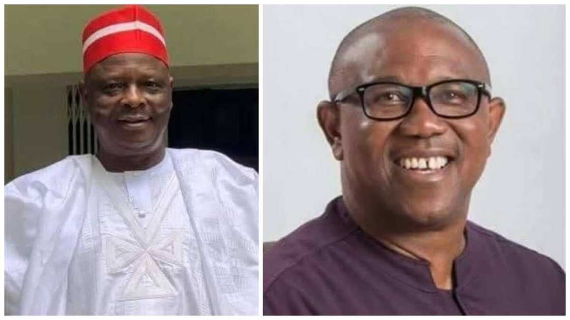 I cannot be running mate to Peter Obi, Kwankwaso says