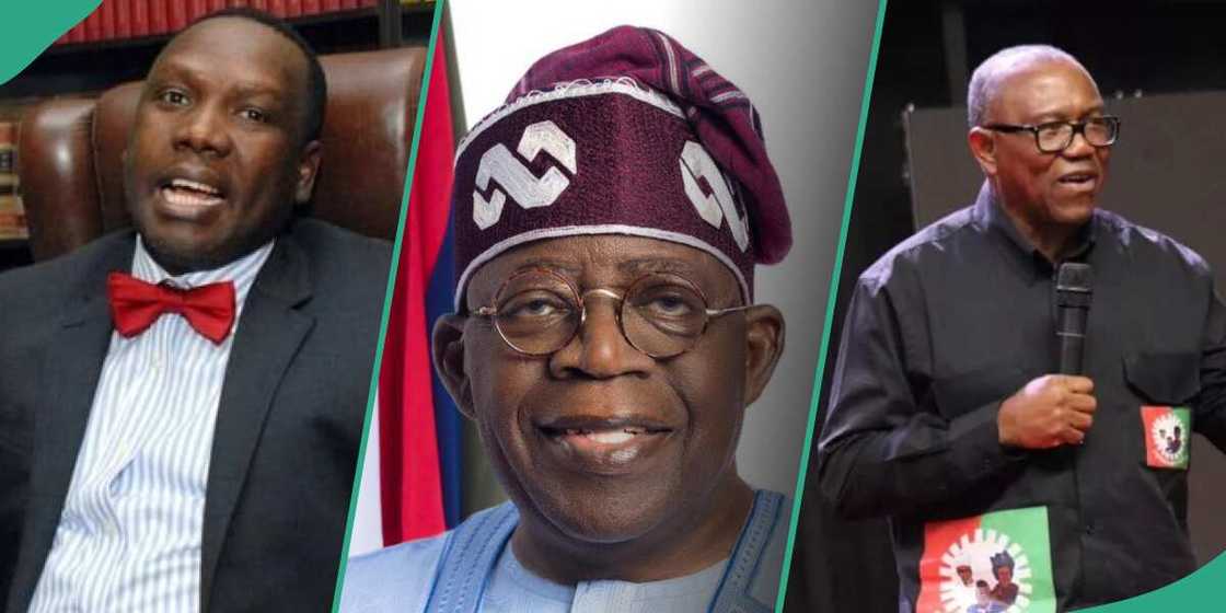 Bwala accuses Peter Obi for attacking Tinubu over borrowing Bwala accuses Peter Obi for attacking Tinubu over borrowing