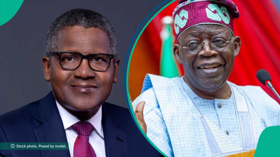 Dangote opens up on plan for cement production Dangote opens up on plan for cement production