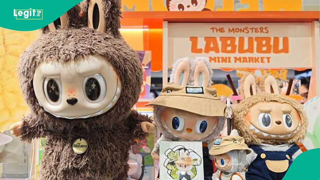 Labubu dolls, Nigeria, Super Eagles Labubu dolls, Nigeria, Super Eagles