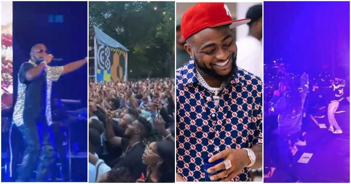 DJ Tunez, Wizkid, Davido, Wande Coal, New York concert