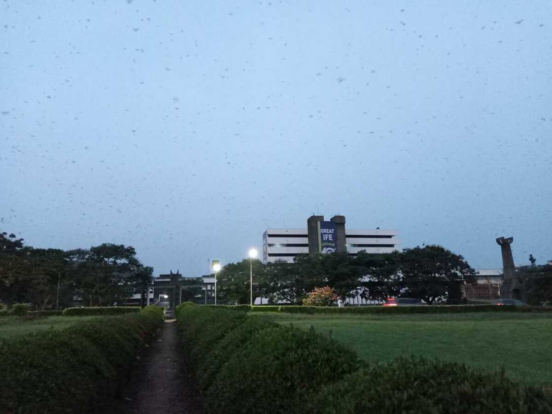 Ajibola Heritage Ayomikun: OAU Student Falls Inside Hostel Soakaway, Dies Ajibola Heritage Ayomikun: OAU Student Falls Inside Hostel Soakaway, Dies