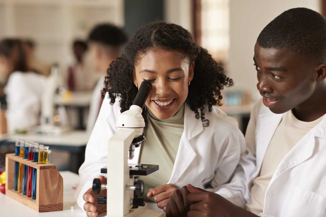 A female student looking through microscope with her friend sitting in science laboratory A female student looking through microscope with her friend sitting in science laboratory