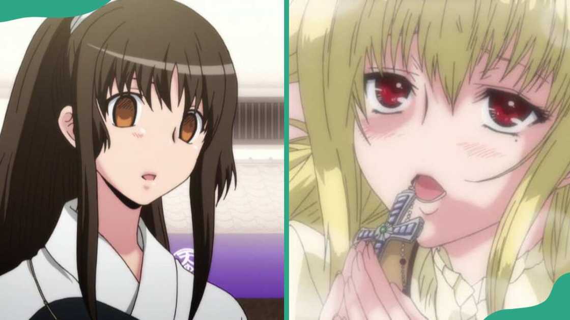 Shidou Mariya from Maria†Holic anime Shidou Mariya from Maria†Holic anime