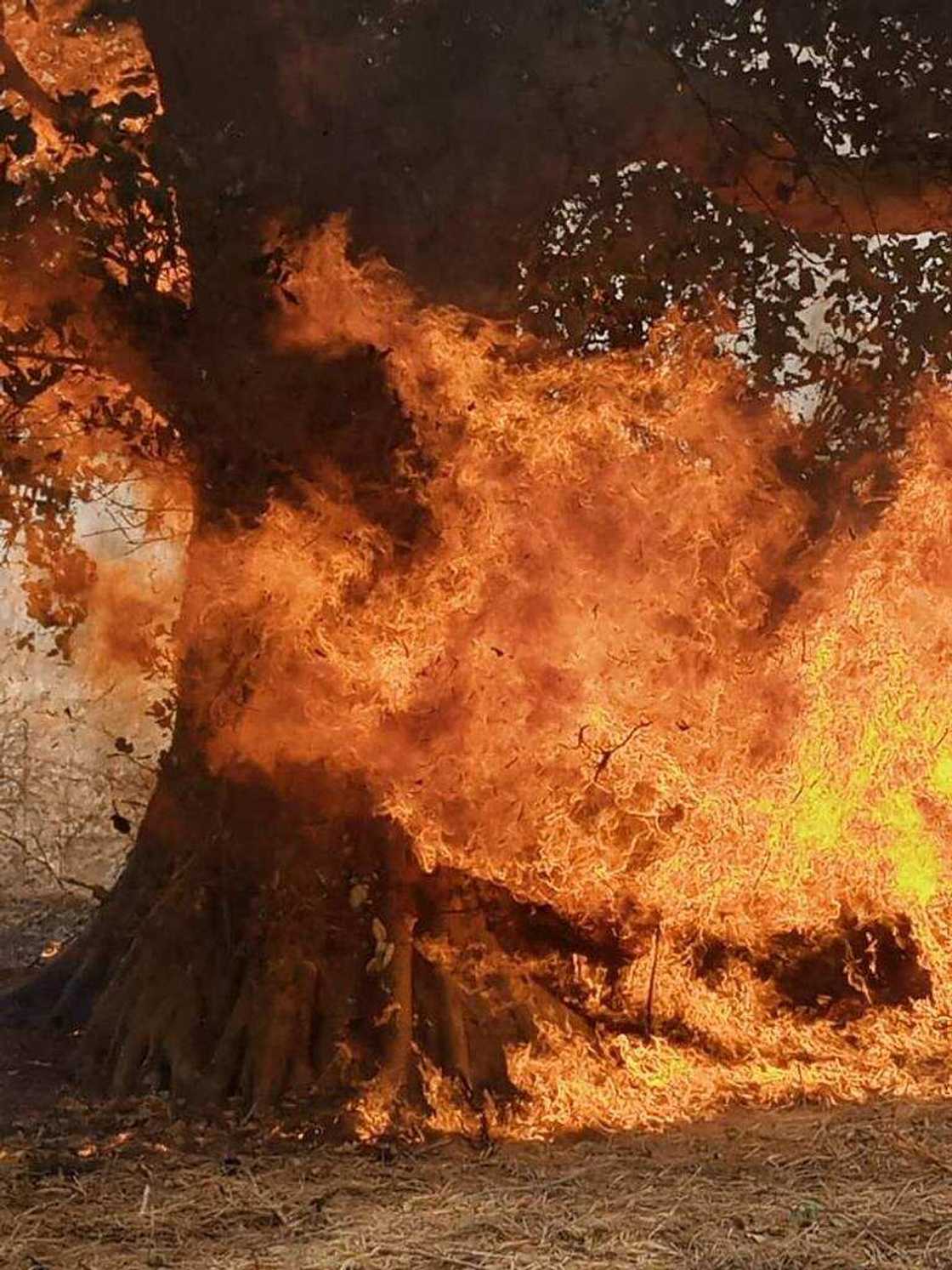 Sojoji sun kama injin nika da makamai bayan sun kashe dumbin yan Boko Haram Sojoji sun kama injin nika da makamai bayan sun kashe dumbin yan Boko Haram