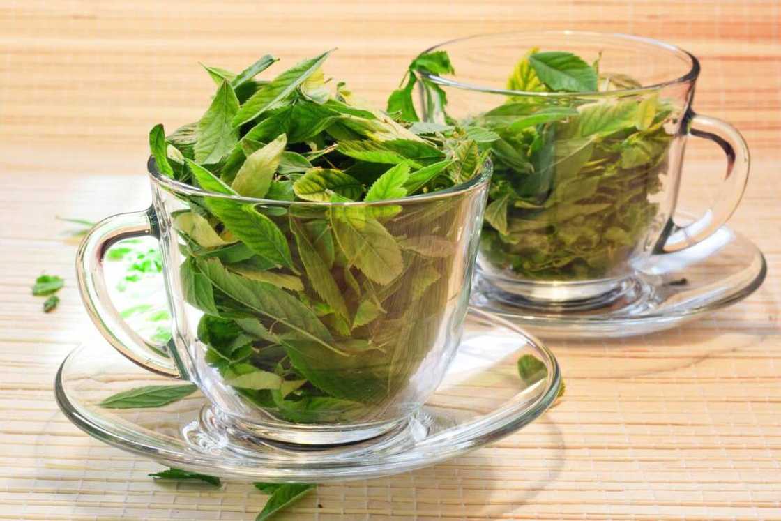How to prepare moringa leaves for drinking How to prepare moringa leaves for drinking