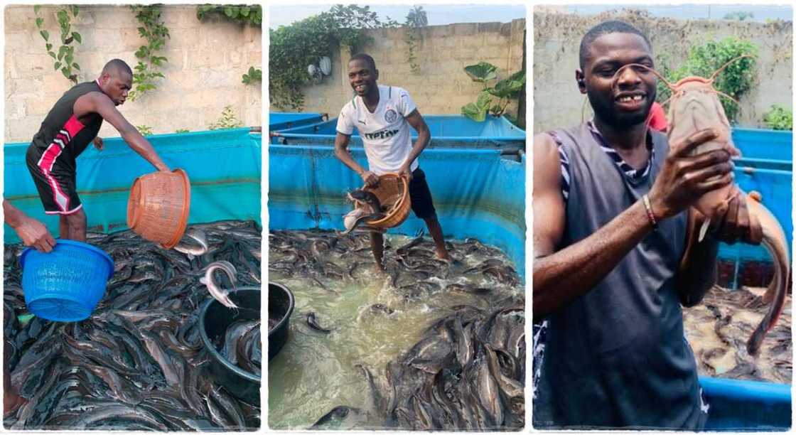 Photos of Kenneth Odoemenam who is a fish farmer. Photos of Kenneth Odoemenam who is a fish farmer.