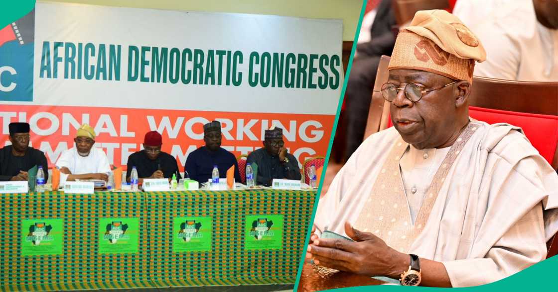 Jam'iyyar ADC ta caccaki Shugaba Tinubu da ya ce ba ya jin tsoron 'yan adawa.