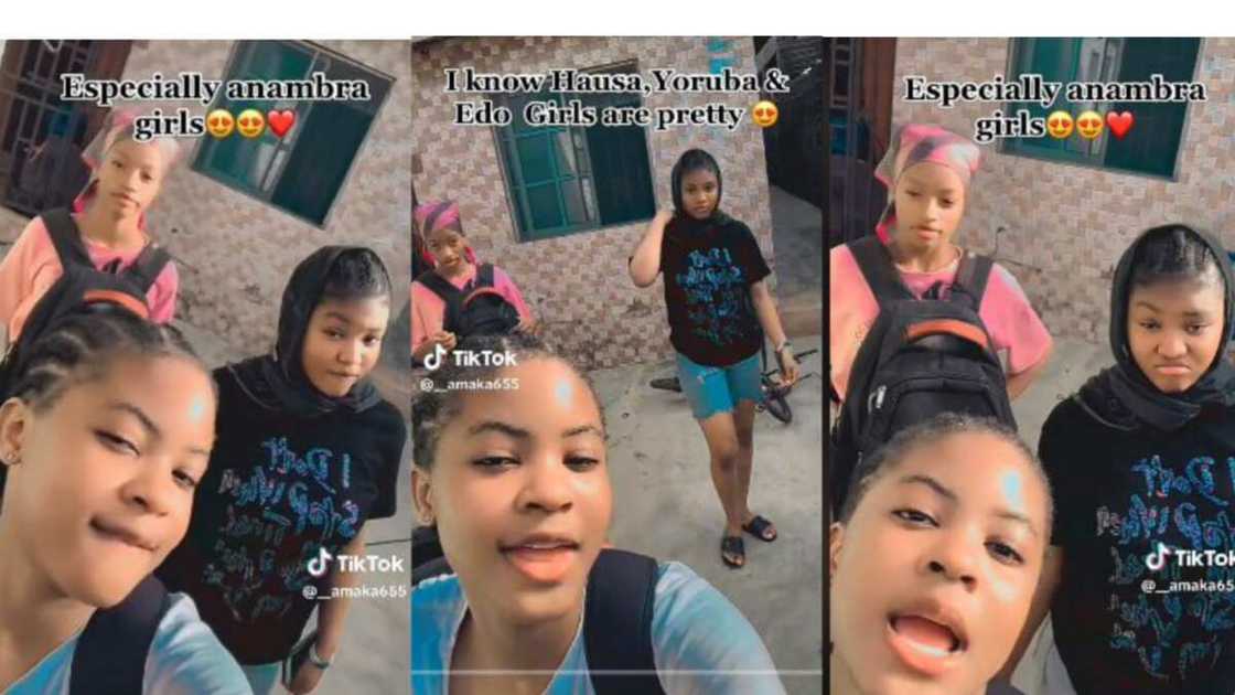 Beautiful girls have fun in front of camera. Beautiful girls have fun in front of camera.