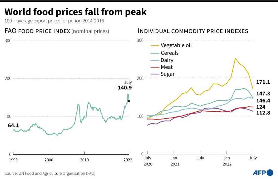 World food prices fall from peak