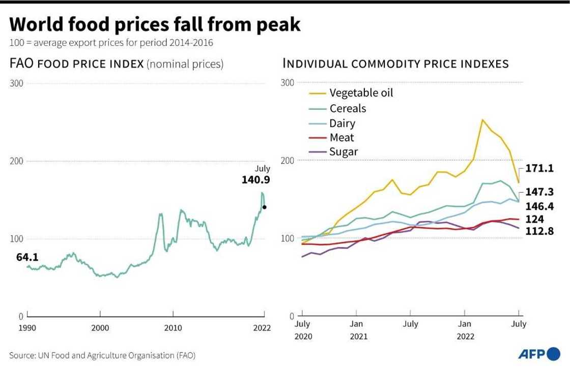 World food prices fall from peak World food prices fall from peak