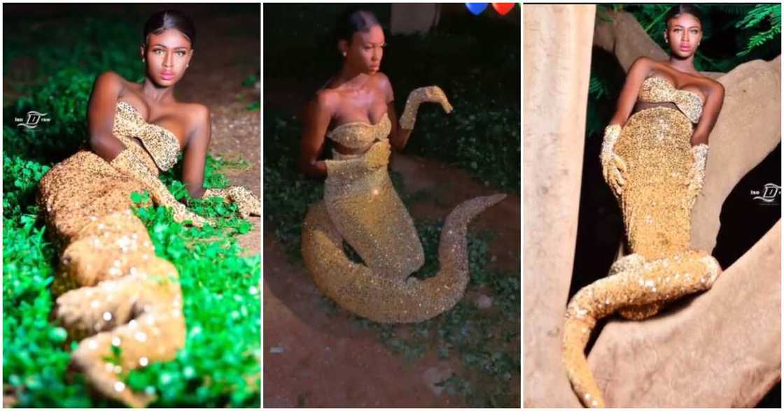 Birthday photoshoot, cobra, snake-like outfit Birthday photoshoot, cobra, snake-like outfit