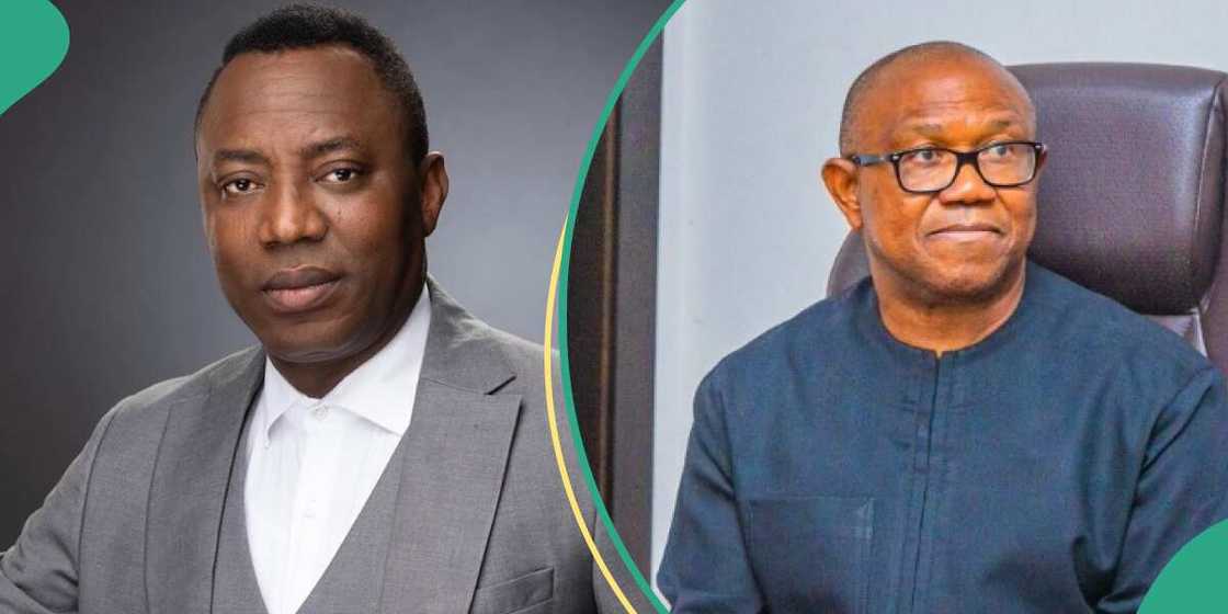 Sowore/Peter Obi/Peter Obi news/Labour Party