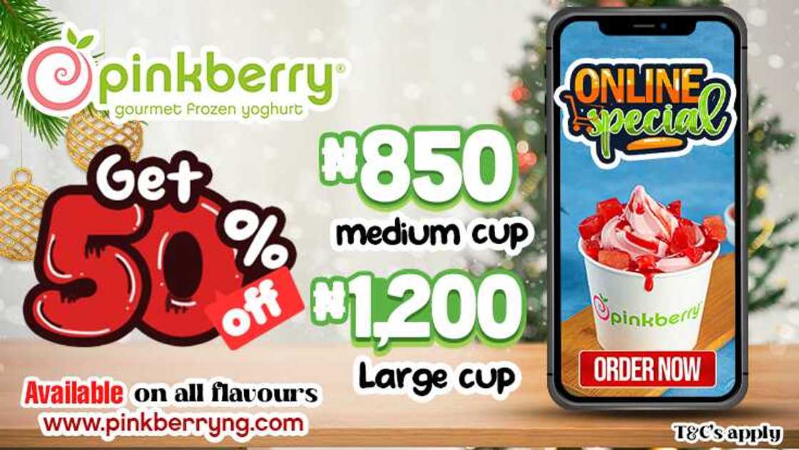 Experience a Guilt-Free Indulgence All Through the Christmas season with Pinkberry