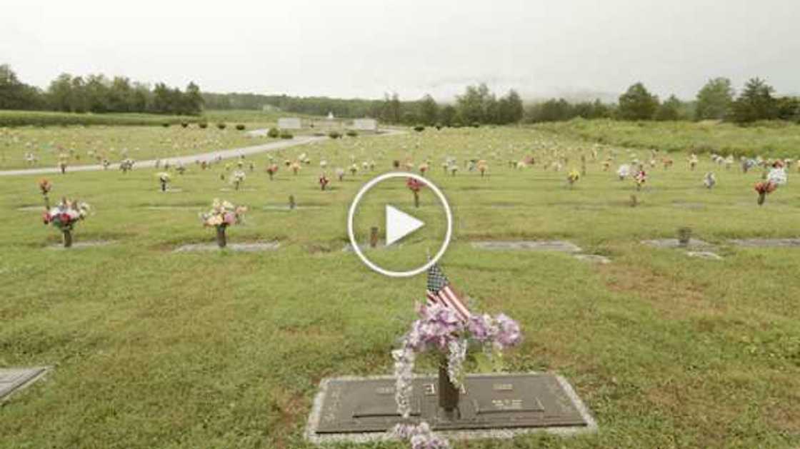 From Insecure to Gossip Girl, All the Best International Series on Showmax in December & January From Insecure to Gossip Girl, All the Best International Series on Showmax in December & January