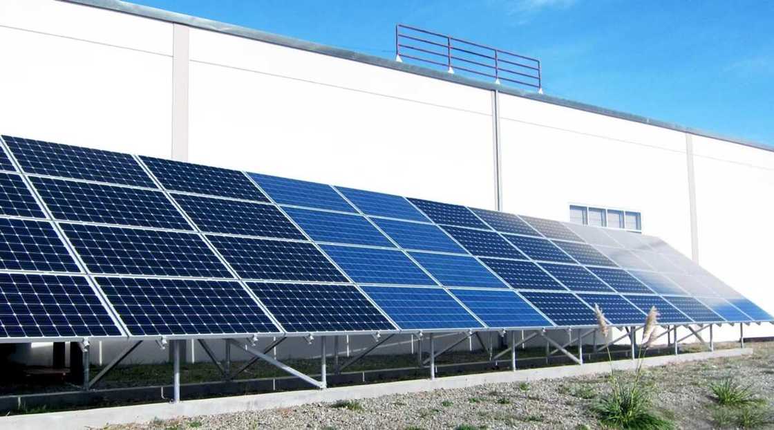 Polyrystalline or Monocrystalline Polyrystalline or Monocrystalline