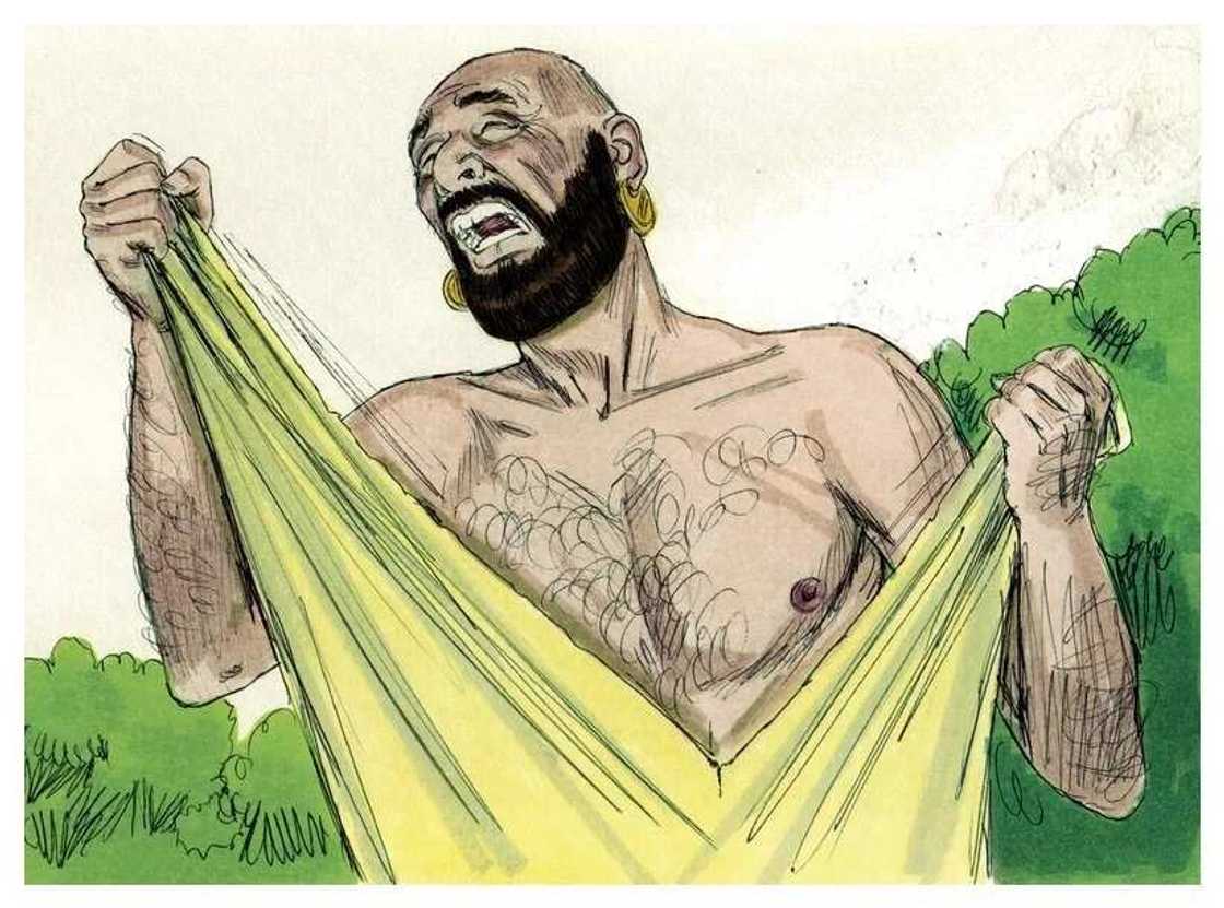 Job and his daughters in Quran Job and his daughters in Quran