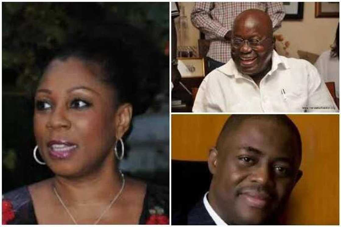 Fani-Kayode’s former wife appointed into Ghana President-elect's cabinet Fani-Kayode’s former wife appointed into Ghana President-elect's cabinet