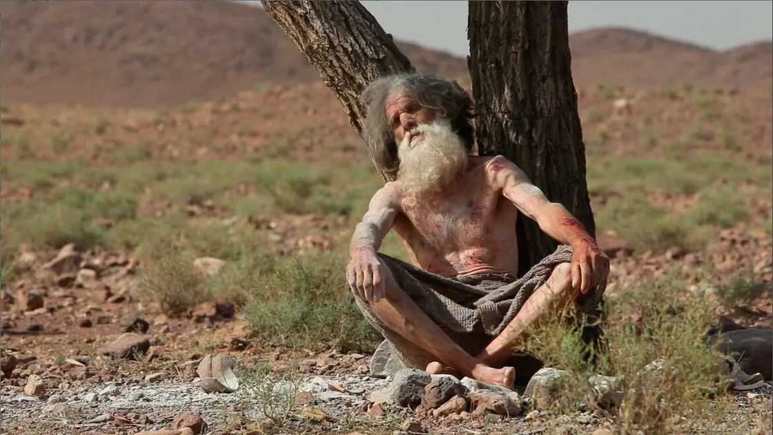 Job daughters` names and their meanings Job daughters` names and their meanings