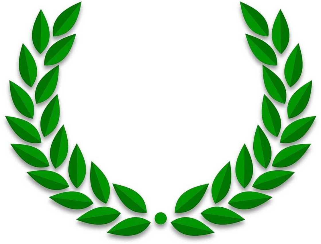 Olive branch peace symbol Olive branch peace symbol