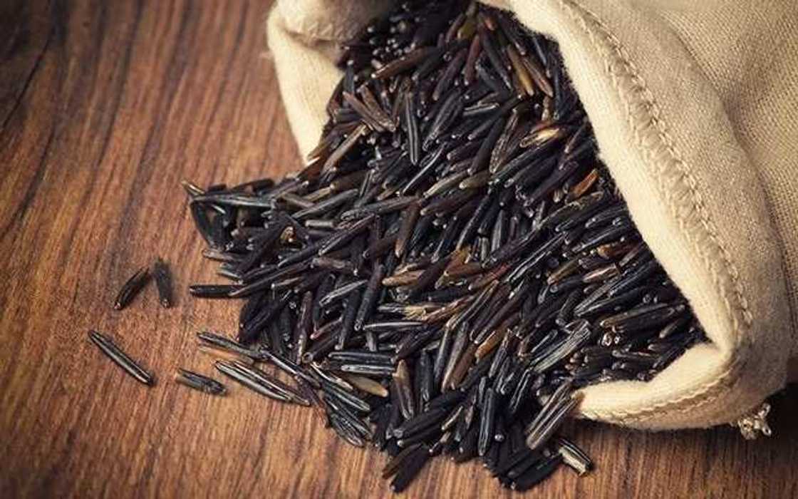 wild rice wild rice