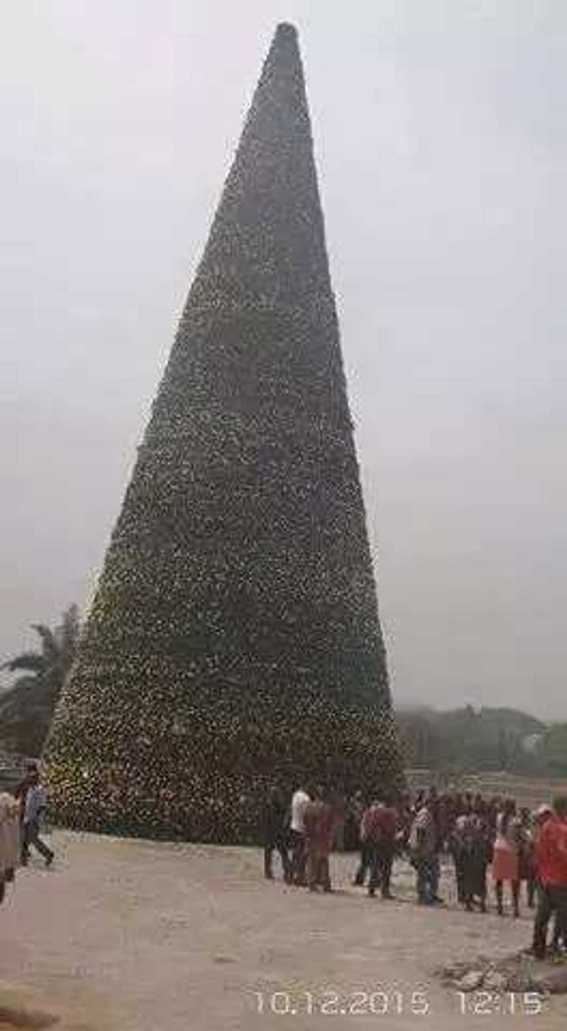SEE Imo Christmas Tree That Cost N600 Million SEE Imo Christmas Tree That Cost N600 Million
