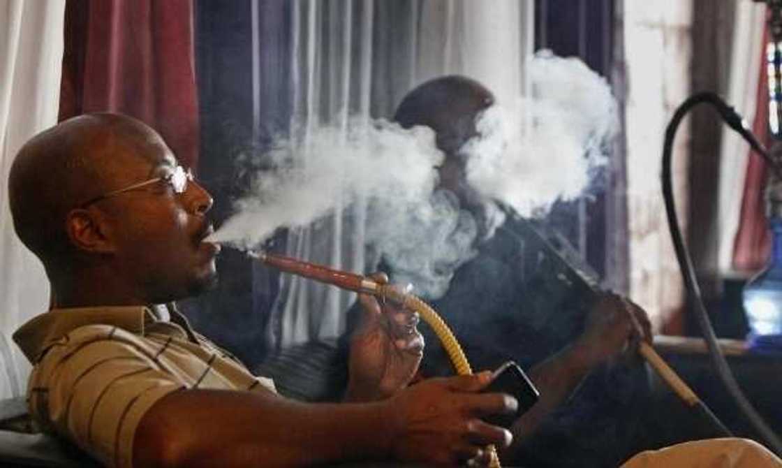 Shan Shisha a jihar Kano Shan Shisha a jihar Kano