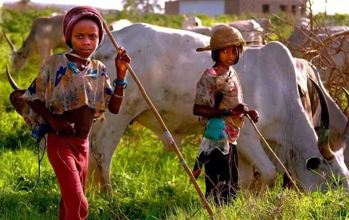 BBC Hausa: Local news in Hausa language BBC Hausa: Local news in Hausa language