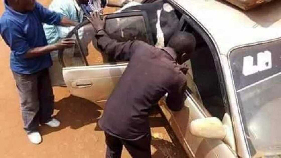 Ina hukumar kare hakkin dabbobi ta Najeriya? Ina hukumar kare hakkin dabbobi ta Najeriya?