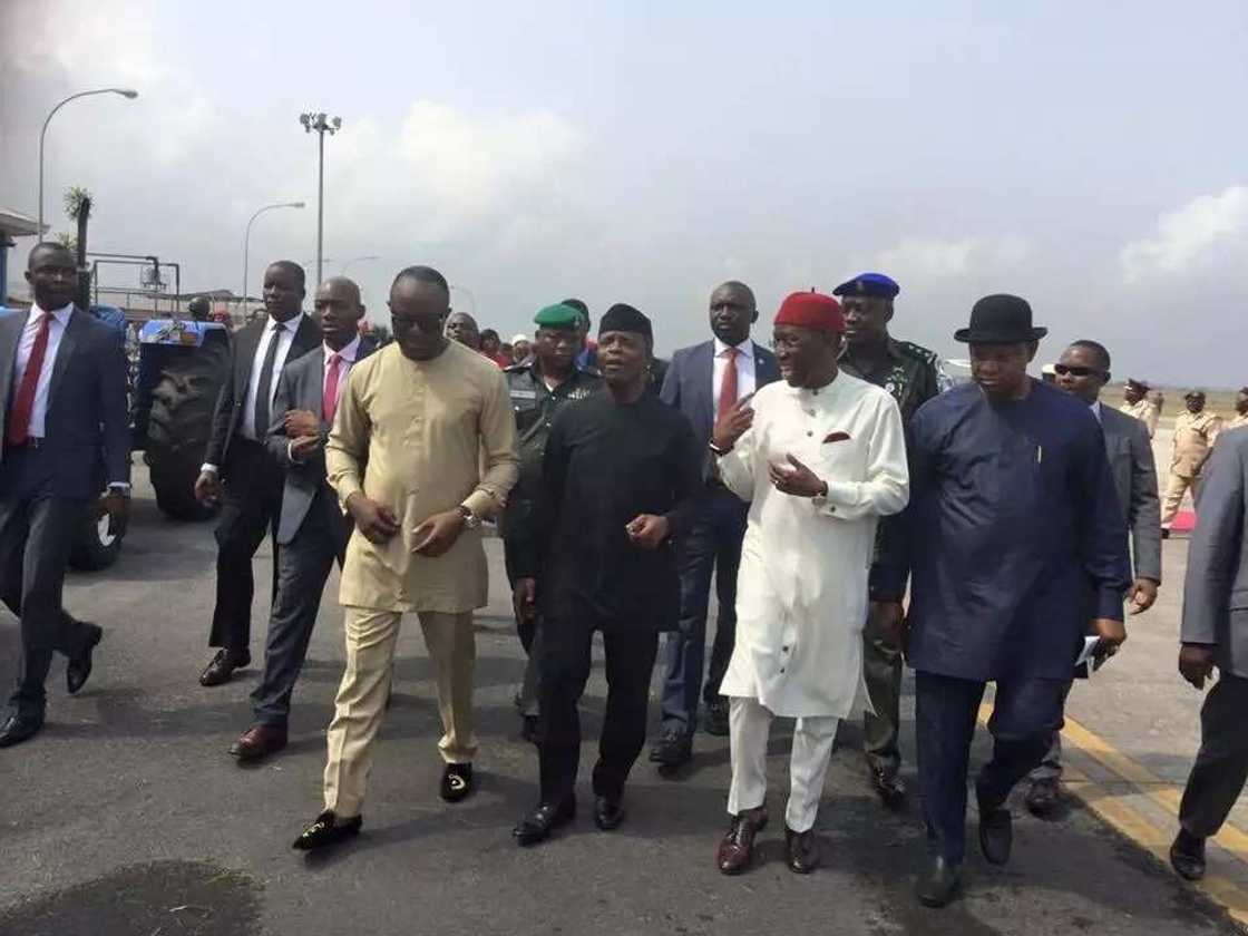 Vice President Vice President