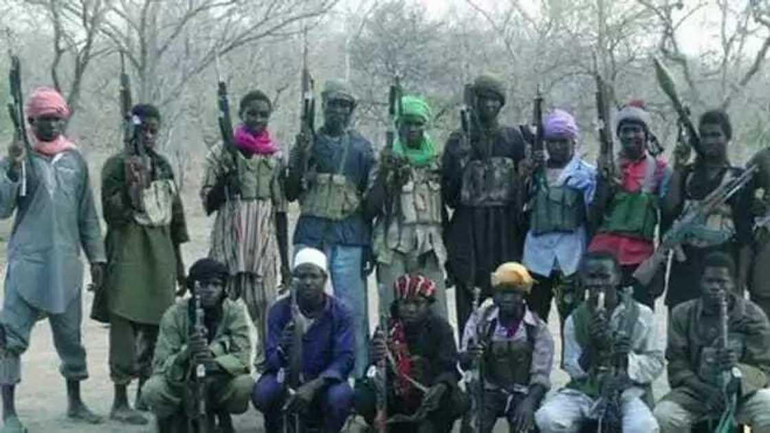 Four Suicide Bombers Attack A Village In Cameroon Four Suicide Bombers Attack A Village In Cameroon