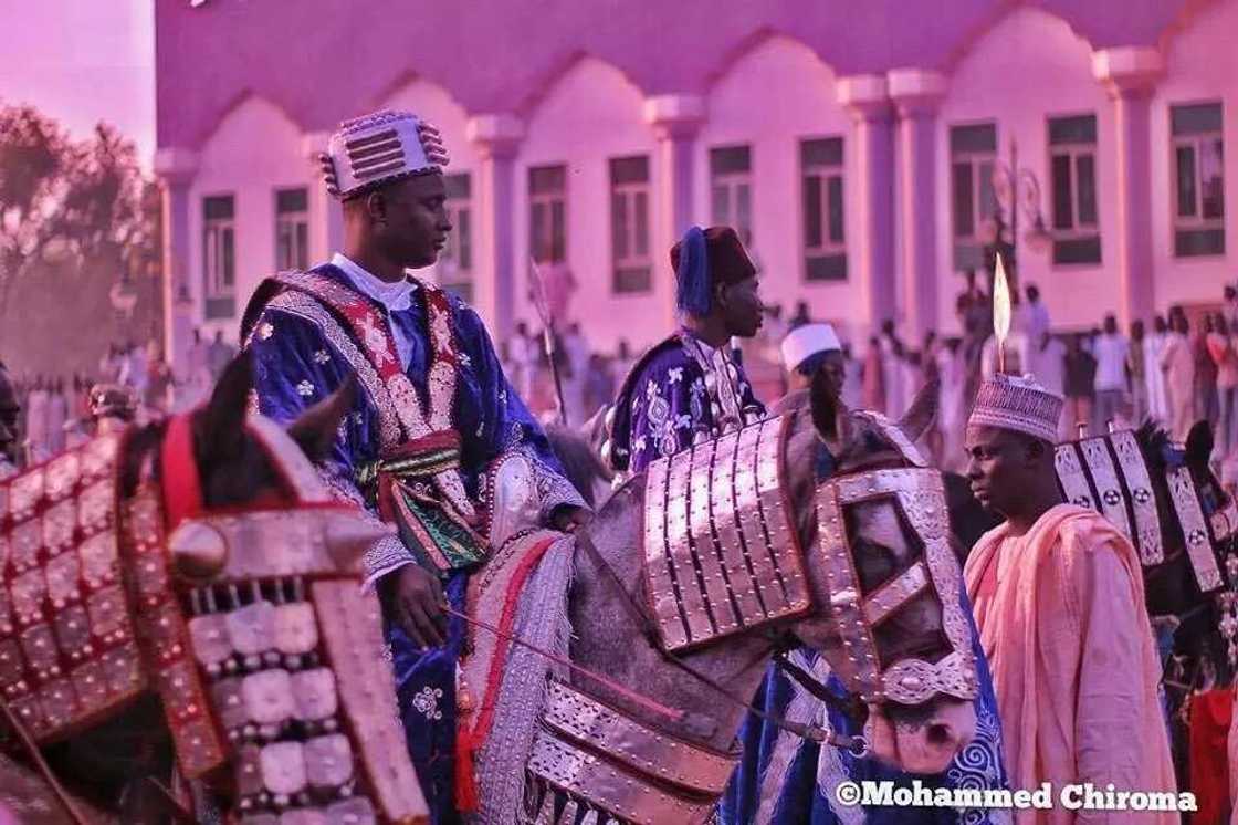 Masarautar Shehun Borno ta gudanar da wani tsadadden hawa (hotuna)