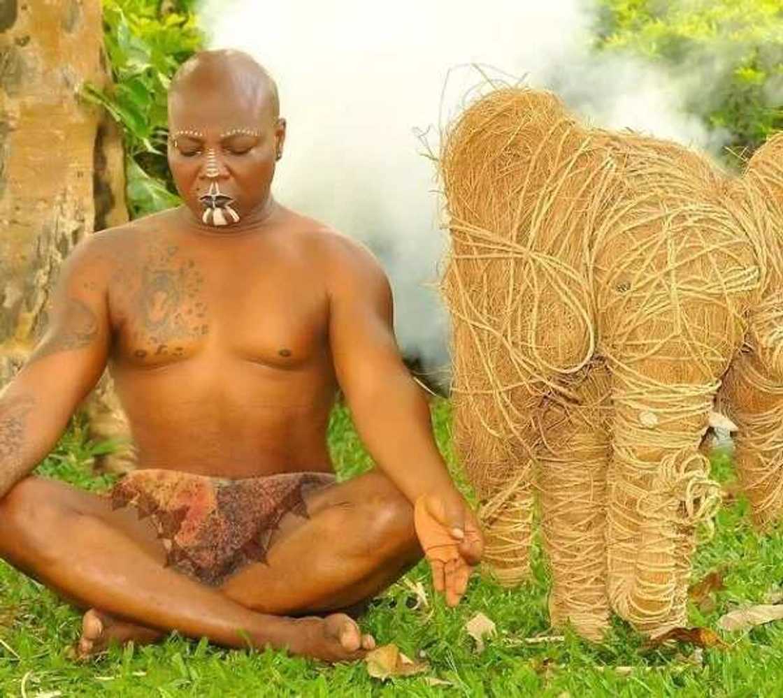 Charly boy Charly boy