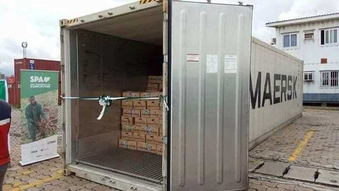 72 tonnes of Nigerian yams exported to Europe 72 tonnes of Nigerian yams exported to Europe