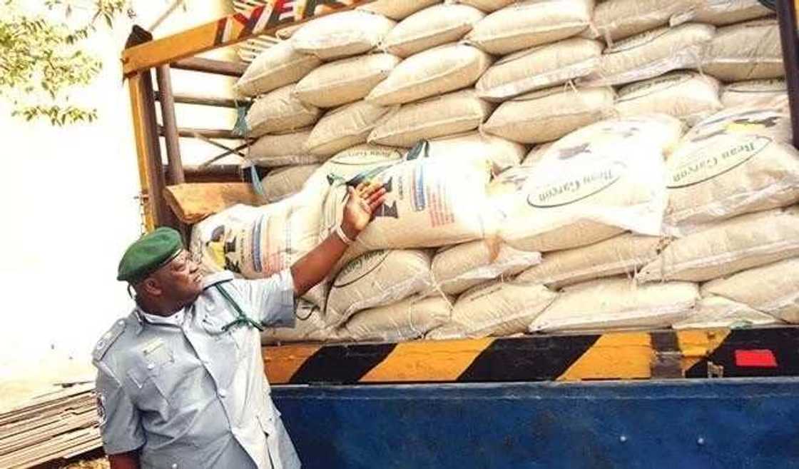 Buhunhunan shinkafa 1,150 jami'an hukumar Kwastam su ka kama a Kano da Jigawa Buhunhunan shinkafa 1,150 jami'an hukumar Kwastam su ka kama a Kano da Jigawa