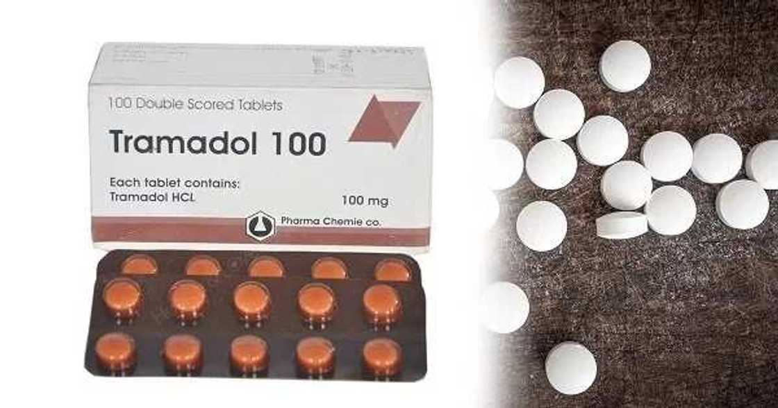 Miyagun Kwayoyi: Tramadol tafi kowacce kwaya hadari a duniya Miyagun Kwayoyi: Tramadol tafi kowacce kwaya hadari a duniya