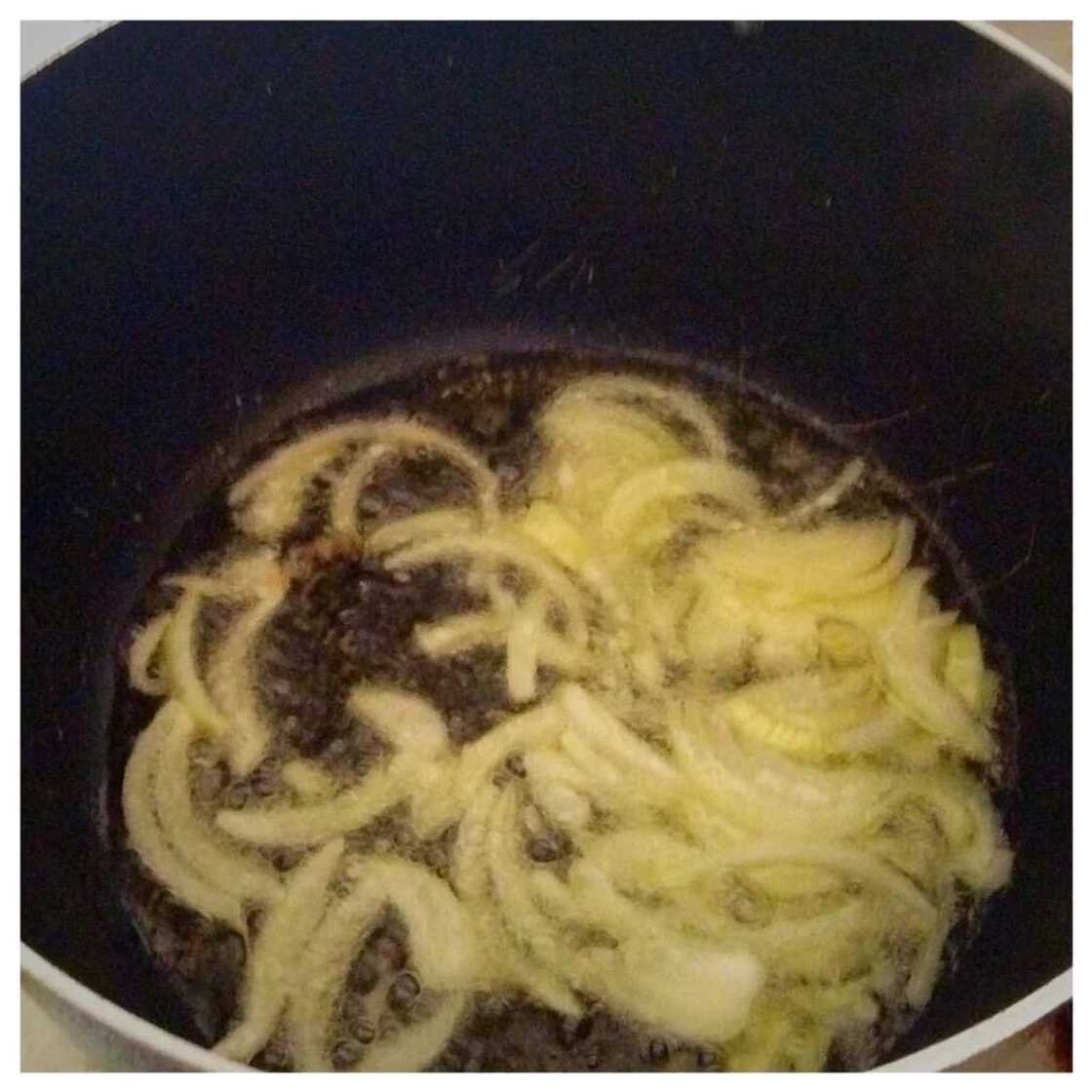 onion onion