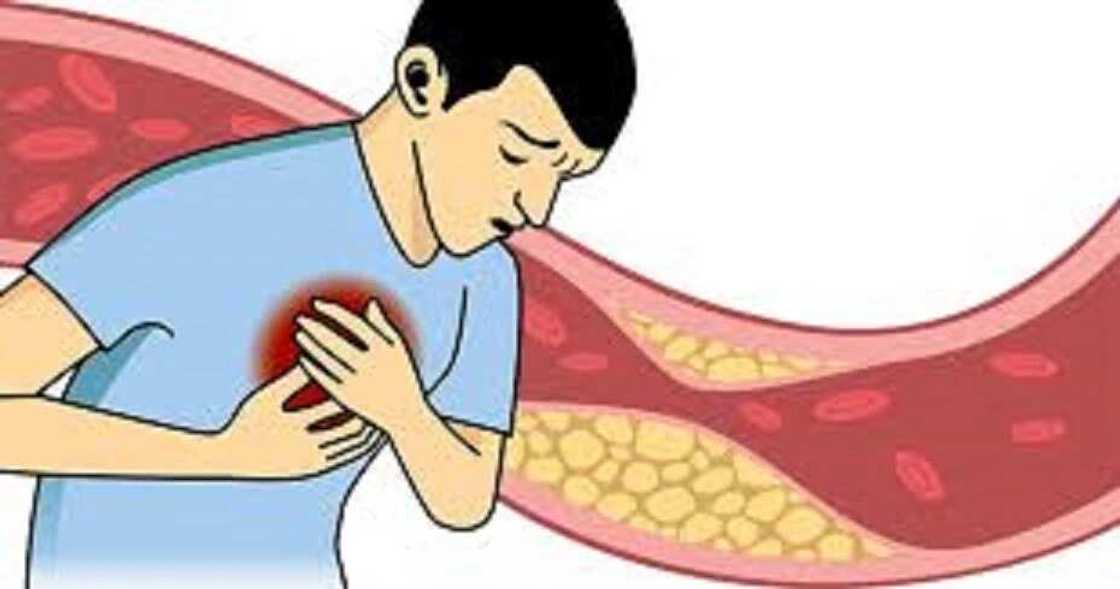 Shin ko kasan amfanin Citta 7 da ya kamata kowa ya sani Shin ko kasan amfanin Citta 7 da ya kamata kowa ya sani