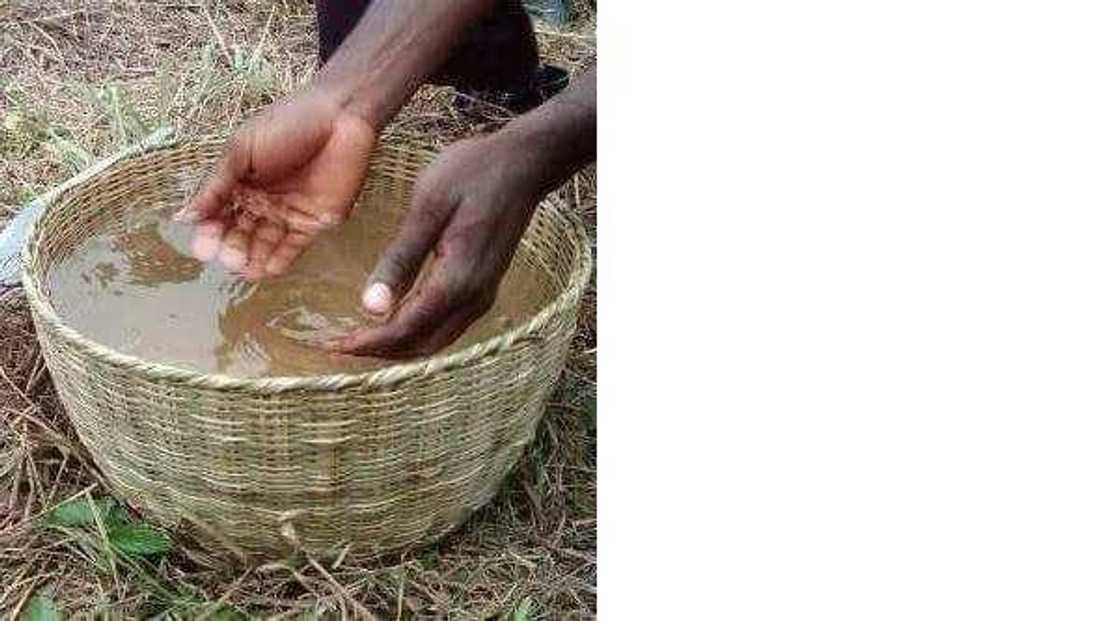 Nigerian man claims people in his village fetch water in baskets (photo) Nigerian man claims people in his village fetch water in baskets (photo)