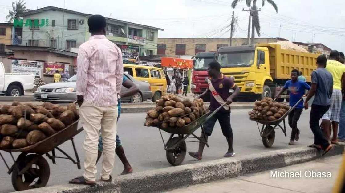 Mile 12 Market At A Glance Mile 12 Market At A Glance