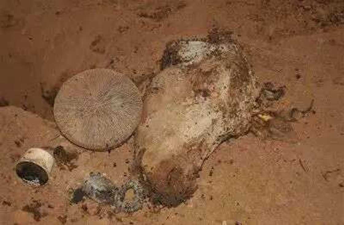 Pastor arrested for burying fetish items in his church Pastor arrested for burying fetish items in his church