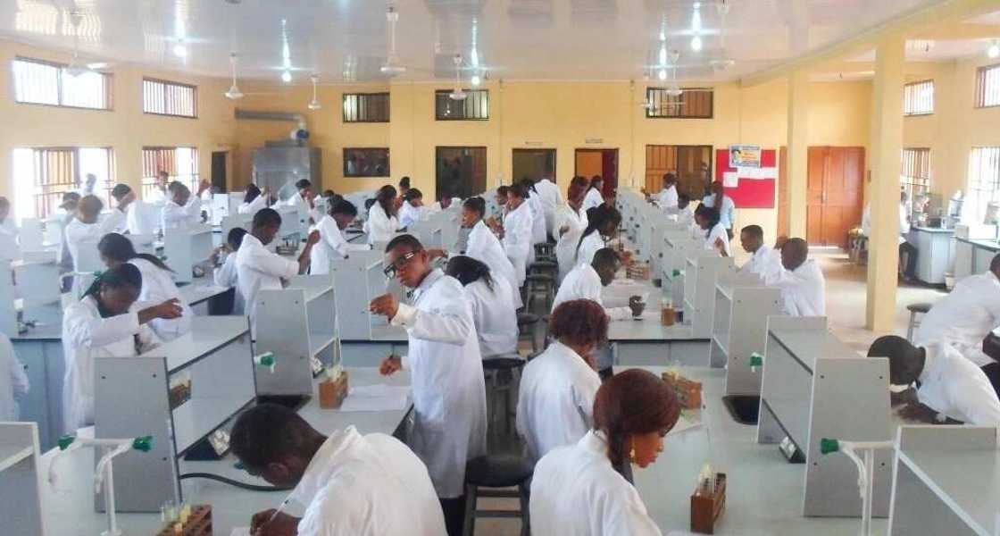 How many years to study medicine in Nigeria?