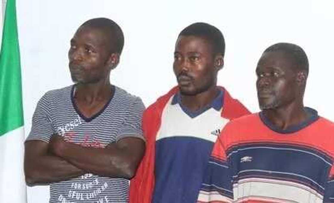 Lagos state police arrest 19 pipeline vandals Lagos state police arrest 19 pipeline vandals