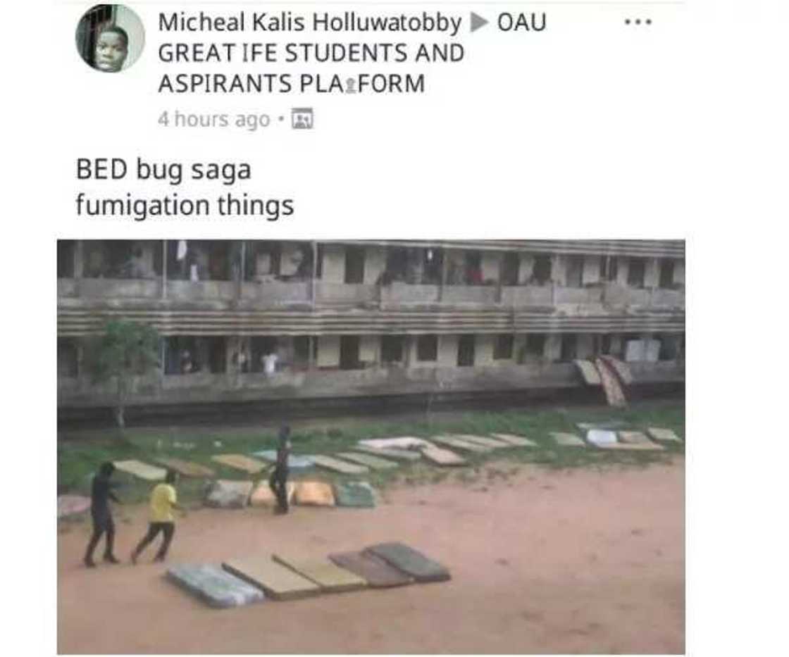 See the living conditions of some Obafemi Awolowo University students (photos) See the living conditions of some Obafemi Awolowo University students (photos)